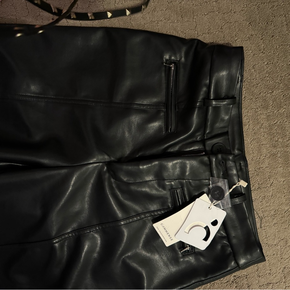 Beautiful pleather pants